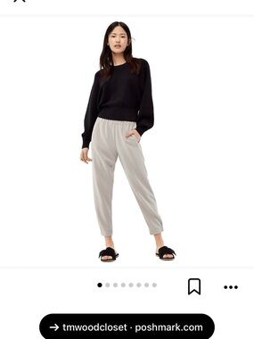 Aritzia Babaton Dexter pants